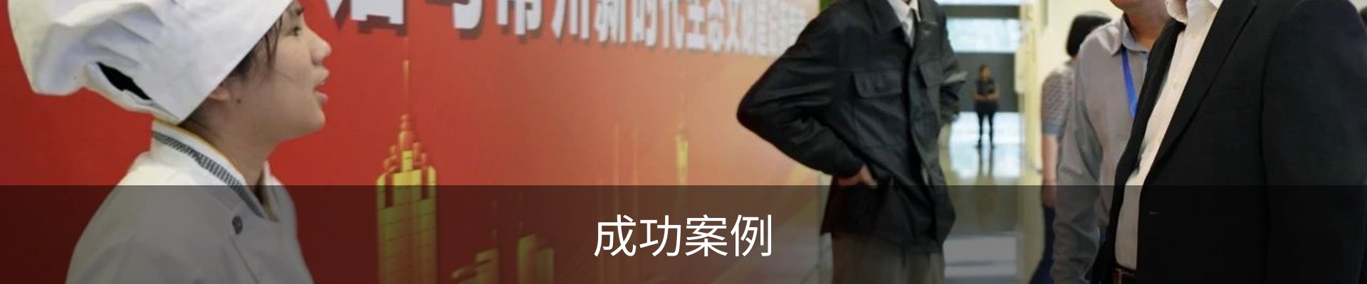 成功案例
